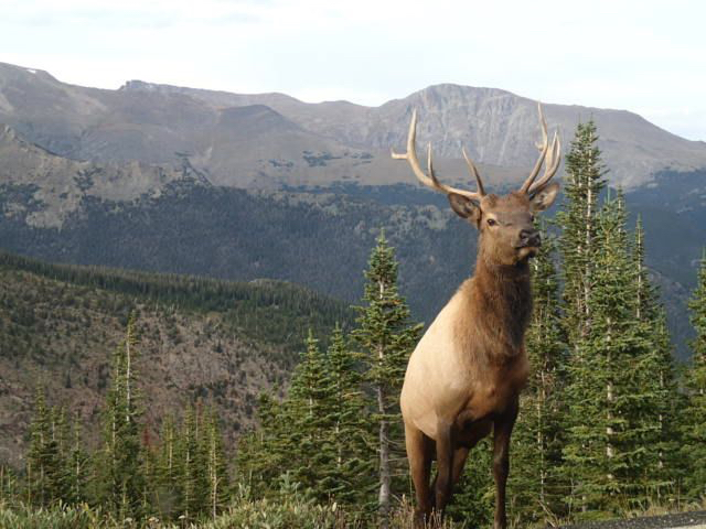 Price of Admission: Balancing Access and Sustainability in National&nbsp;Parks