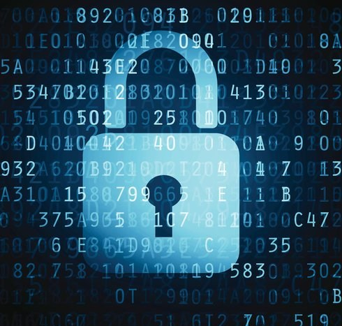 Safeguarding Individual Data in the 2020&nbsp;Census