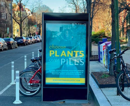 Legalization of Medical Cannabis as a Policy Response to the Opioid&nbsp;Epidemic