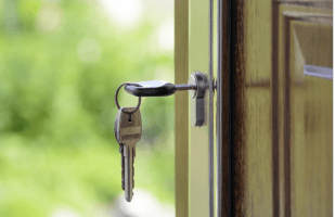 Screen Shot 2019-02-12 at 12.28.53 PM