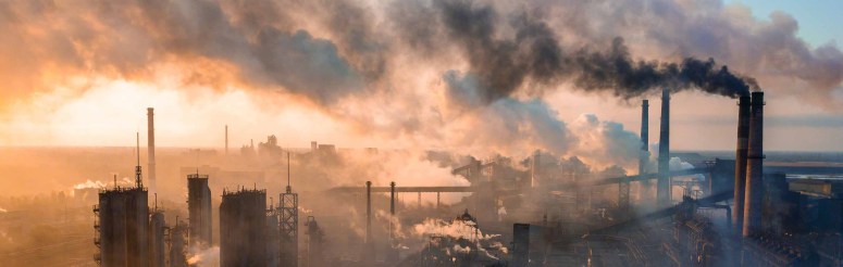 The Adverse Effects of Air Pollution on Fetuses’&nbsp;Health