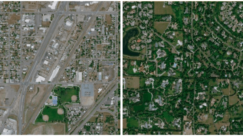 How Racism Has Shaped the Presence of Urban Tree Cover in Public&nbsp;Spaces